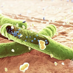 3D-Animation Pharma: antibakterieller Wirkmechanismus I