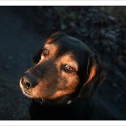 SDIM2070 Kopie