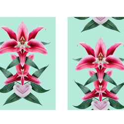 „Flowers on Speed“ 1, digital collage