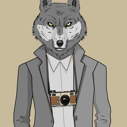 Wolf