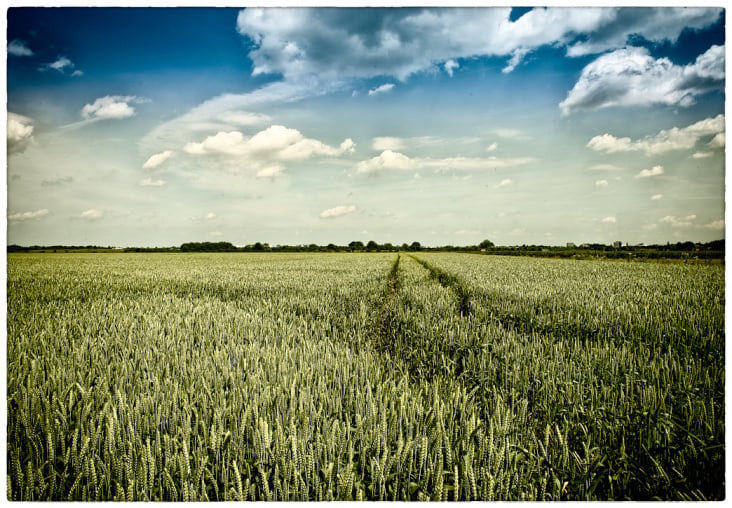Landscapes