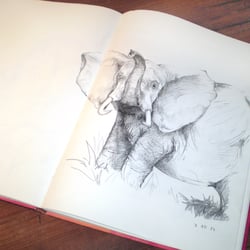 Elefant