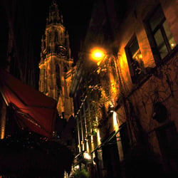 Festive Nightwalk