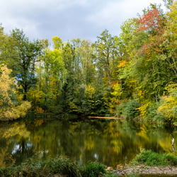 fasziniert von den Farben am Lochmühliweiher, Illighausen Thurgau