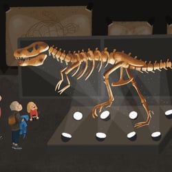 dinomuseum finish