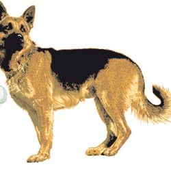 Hunde