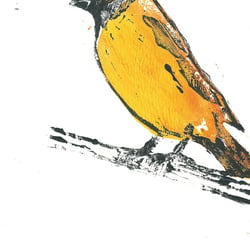 Vogel-Druck