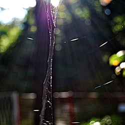 Lichtbrechung