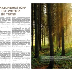 Mustermagazin „Architektur“