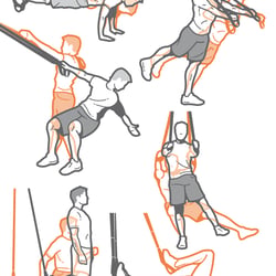 TRX