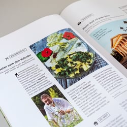 Editorial Design – Merian Special