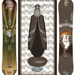 Snowboards