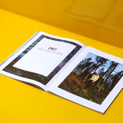 Der Paillettenknopf über dem Felsenmeer, Buch des Berliner Fotografen Chris Neumann