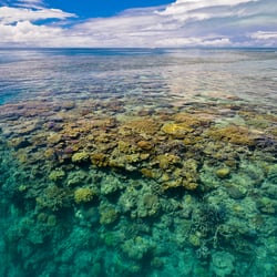 Underwater – Wide Angle Photography