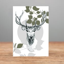 Hirsch 2