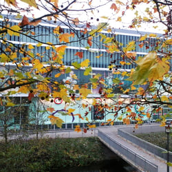 P. Center 2012 – D.T