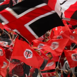 Stade Toulousain Rugby Supporters