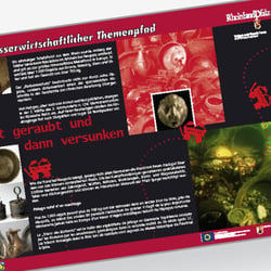 Südpfalz-Radroute