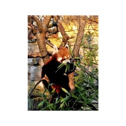 TIERPARK BERLIN