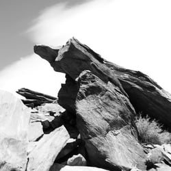 joshua tree park – californien