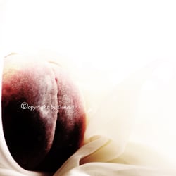 Food 23.08.14