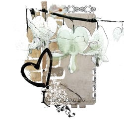 Illustrationen: Blumen