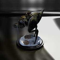 Lizard Metall