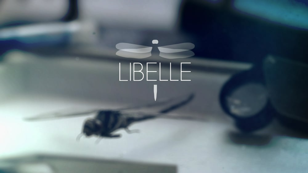 120417 Libelle newAudio (0-00-39-16)