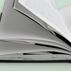 Späher – Neue Perspektiven der visuellen  Wahrnehmung