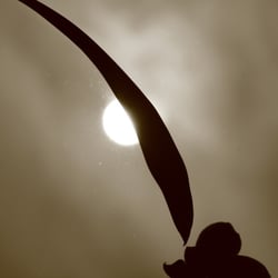 Licht und Schatten by Dina.T 2013