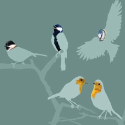 Vogelpark