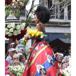 Festa do Flor