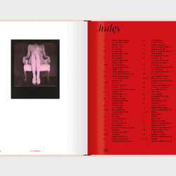 Slanted-Publishers-INSTANT-NUDES 23