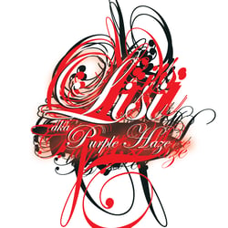 lisi logo schrift 120mm