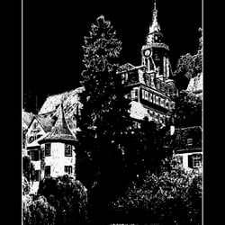 sw Strich-Grafik