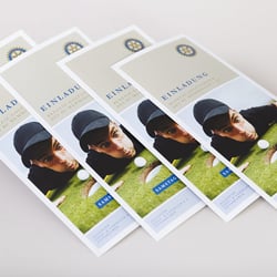 Rotary Club Memmingen – Flyer, Speisekarten, Plakate