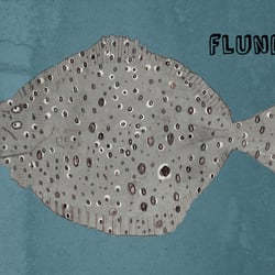 Flunder