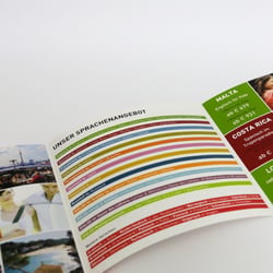 Folder | aufgeklappt (Innenseiten)