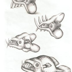 Illustration zum Thema Metamorphose