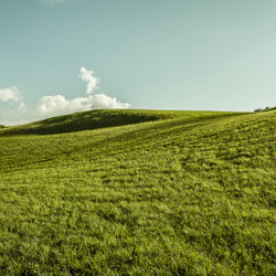 Berge VI