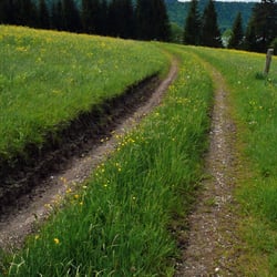 Kochel-Walchensee