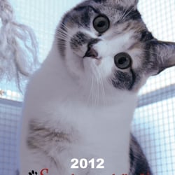 Kalendar 2012 – Format A3 & A6 – Gestaltung & Fotos