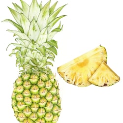 Ananas