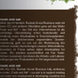 Baobab Social Business – Booklet aufgefaltet, Innenseite