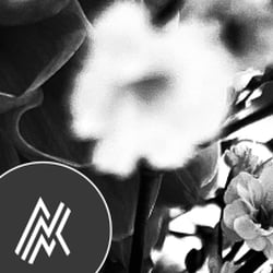 Flower Power / 2022