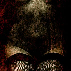 Torso 1116