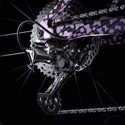 Mountainbike Clouseup 5