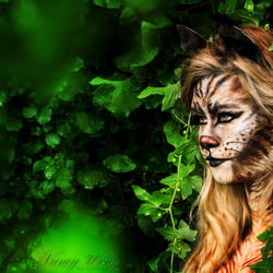 Luchs