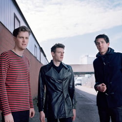 the cynastics