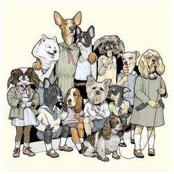 Hundesommer